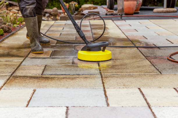 Best Solar Panel Cleaning  in Exeter, CA