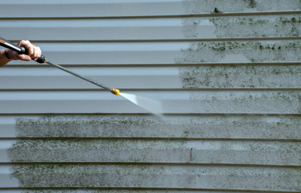 Best Roof Washing  in Exeter, CA